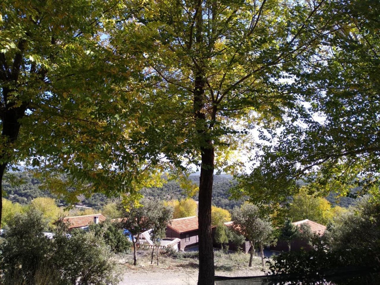 Camping Casa Fausto Cerca de Dinopolis Formiche Alto Esterno foto
